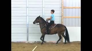 Gaining Control of a Horse that Rushes