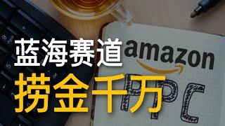 亚马逊难做？我在蓝海赛道掘金千万