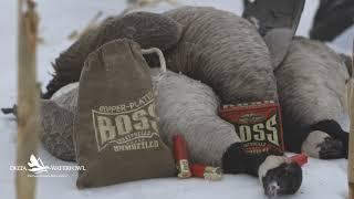 Delta Tested | BOSS ShotShells, 12 ga. 3/5 for waterfowl