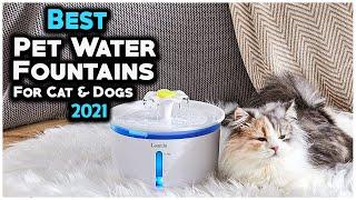 5 Best Pet Water Fountain For Cats And Dogs 2021 - Hami Gadgets