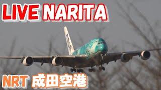 LIVE at NARITA International Airport Plane Spotting　2024.05.24　成田空港ライブカメラ 成田空港　NRT/RJAA