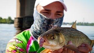 Что могут колебалки SV Fishing Lures