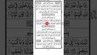 daily videos #beautiful #recitation #best #fatiha