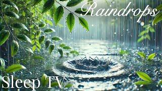 Go to Sleep with Super Slow Motion 1000 FPS  Rain Falling  with Rain Sounds for Sleeping Problems