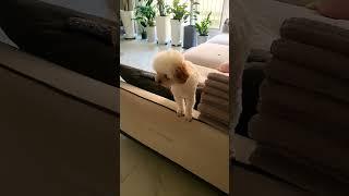장남감이 떨어졌어요..