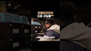 방울토마토와 요즘 과일들