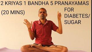 20 MINS SCIENTIFIC PRANAYAM FOR DIABETES | SWAMI VIVEKANANDA YOGA |