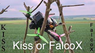 Kiss vs FalcoX ⎜ What would I prefer