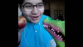 Gator Eats a Hole Apple And then Choke