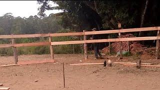 Construção de Redondel de tábuas de eucalipto doma de cavalos - Rancho Matuto Bragança Paulista 