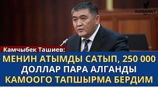 "250 000 доллар пара алганды камакка алууга тапшырма бердим" - Камчыбек Ташиев