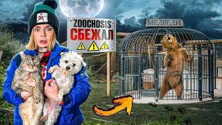 ZOOCHOSIS В РЕАЛЬНОЙ ЖИЗНИ | ПОБЕГ И 24 ЧАСА В ГАРАЖЕ С КОТАМИ