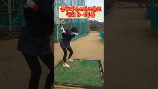 #성주#피닉스 #파크골프 #대회