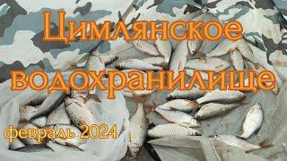 Зимняя рыбалка. Цимлянское водохранилище. Февраль 2024