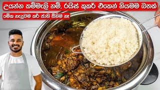 උයන්න කම්මැලිනම් මෙන්න නියම විසදුම! | Delicious Rice in Rice Cooker | Easy Rice Recipe