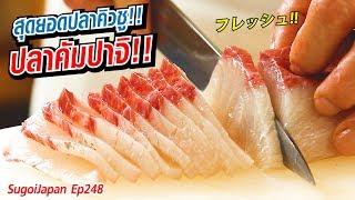 ปลาคัมปาจิ!! ปลาชื่อดังของเกาะคิวชู Kampachi | SugoiJapan | Ep248