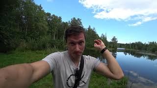Экотропа Сестрорецкое болото в Белоострове