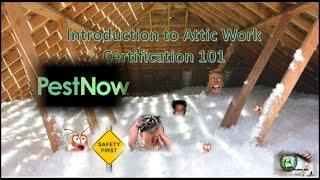 Attic Safety Training PestNow