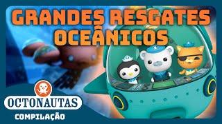 Octonautas - 🪸 Grandes Resgates Oceânicos ️ | Compilação | Episódios inteiros