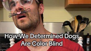 How we determined dogs are color blind.