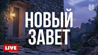 Благая Весть каждый день | Новый Завет  BibleVision Прямой Эфир