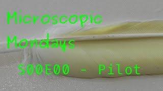 Microscopic Mondays S00E00 Pilot. Feather and microchips.