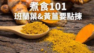 【煮食101】 班蘭葉&黃薑到底要點揀？一片教晒你！