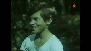Потерялся слон (1984) Фильм Евгений Осташенко. Фильм с Александр Комаров, Раиса Рязанова. Семейный.