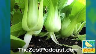 Florida Fruit & Vegetable Gardening 101 | The Zest Podcast