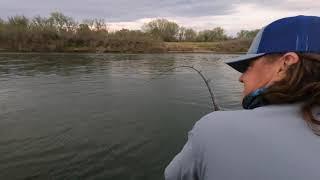 Sturgeon Fishing The Colusa area With Rustic Rob and Curtis