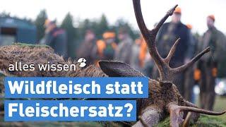 Wildfleisch: Echte ökologische Alternative? | alles wissen