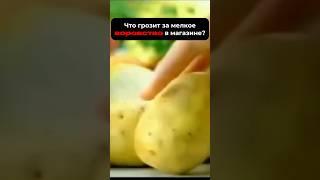 Что грозит за мелкое хищение в магазине?