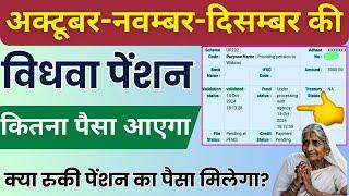 अक्टूबर नवंबर दिसंबर की विधवा पेंशन का पैसा कितना मिलेगा | UP Widow Pension Kab Aayegi 2024