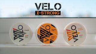 Обзор никотиновых паучей Вело. VELO X-STRONG