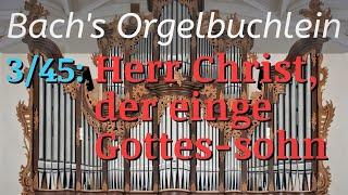 J.S. Bach's Herr Christ, der einge Gottes-sohn (BWV 601) + English Translation