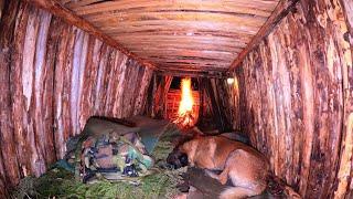 Building A Survival Shelter In Heavy Rain - Bushcraft Winter Camping, Nature Sounds, Cooking, Asmr