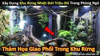 Xây Dựng Khu Rừng Nhiệt Đới Với Hệ Sinh Thái Tuyệt Vời Trong Phòng Ngủ P9 ||Review Giải Trí Đời Sống