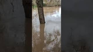 Water rising fast, more rain on the way. #California #weather #flooding