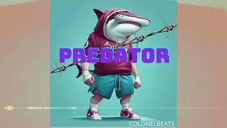 Hip Hop/Trap Instrumental Beat "PREDATOR"