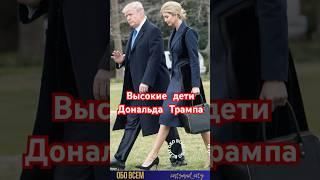 Высокие дети Дональда Трампа .#shorts #мелания #меланиятрамп #дональдтрамп #звёзды