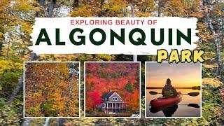 Exploring Algonquin Park 4K | Water Fall