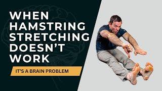 How to Improve Hamstring Flexibility Through the Lens of Neuroscience