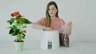 How To Install Your Natede Air Purifier