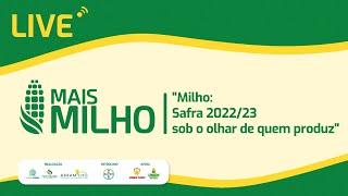 Safra 22/23, o futuro do milho | Canal Rural