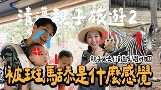 超距離接觸野生動物！宗岳還被斑馬舔了... ｜清邁夜間動物園Chiang Mai Night Safari ｜清邁米其林餐廳THE HOUSE by Ginger｜清邁親子遊EP.2｜絕代雙Q