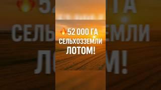 **️ ЗЕМЕЛЬНЫЙ АКТИВ МЕЧТЫ ДЛЯ КРУПНОГО АГРОБИЗНЕСА! ️**** Уникальное предложение