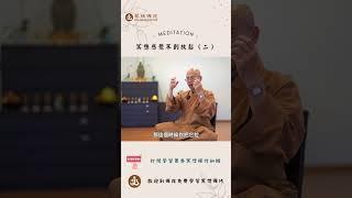 冥想感覺不到放鬆怎麼辦呢 (二)? |  訂閱免費學習冥想| 歡迎線下來菩提禪苑免費學習冥想| What is meditation? Learn meditation #冥想 #meditation