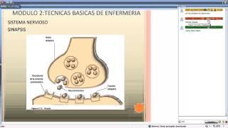 Módulo de Técnicas Básicas de Enfermería: Sinapsis