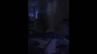 Superfart David Springer i 199999 km i timen