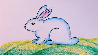 How to Draw Rabbit for Beginners || Rabbit Drawing Colour || Cute Rabbit Drawing Step by Step..